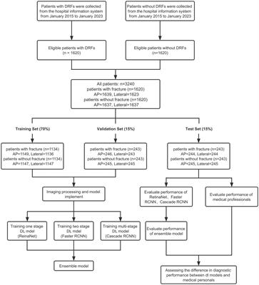 Deep learning assisted diagnosis system: improving the diagnostic accuracy of distal radius fractures